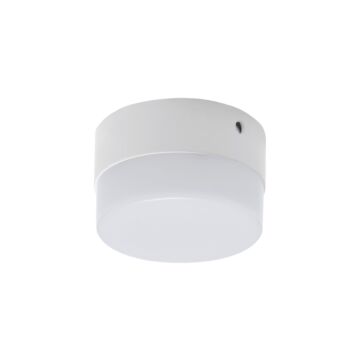 Plafon sufitowy Struhm 03085