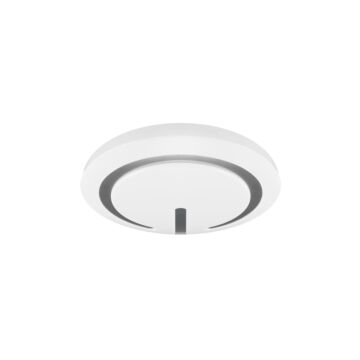 Plafon sufitowy Struhm 04099