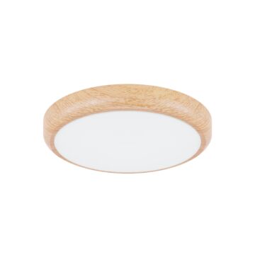 Plafon sufitowy Struhm 04384