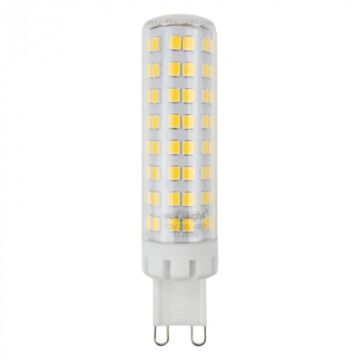 Żarówka LED Eco Light EC20755