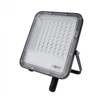 Naświetlacz LED Eco Light EC20686