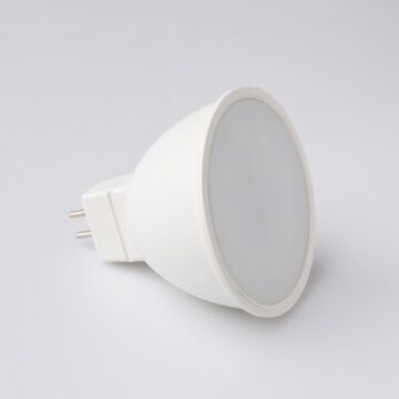 Żarówka LED Eco Light EC79487