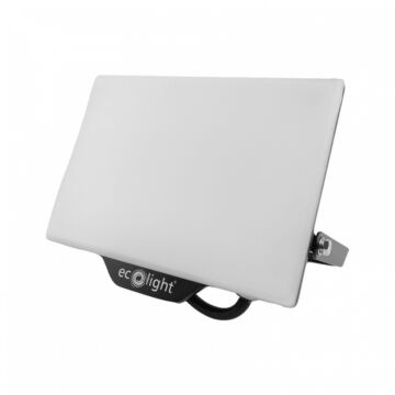 Naświetlacz LED Eco Light EC20316