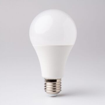 Żarówka LED Eco Light EC79845