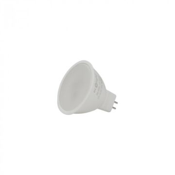 Żarówka LED Eco Light EC79245