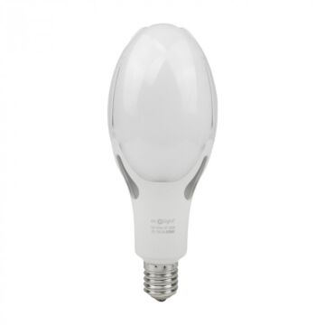 Żarówka LED Eco Light EC20503