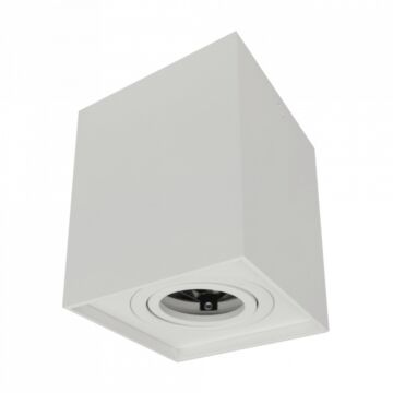 Oprawa downlight Eco Light EC79965