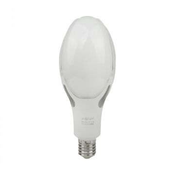 Żarówka LED Eco Light EC20502