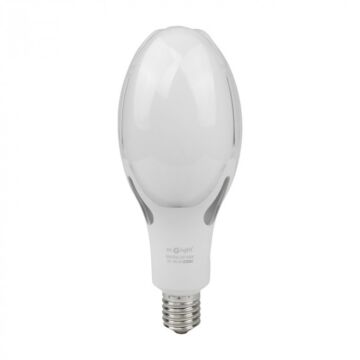 Żarówka LED Eco Light EC20504