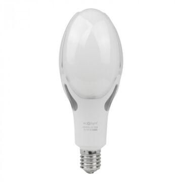 Żarówka LED Eco Light EC20505