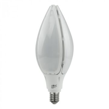 Żarówka LED Eco Light EC79764