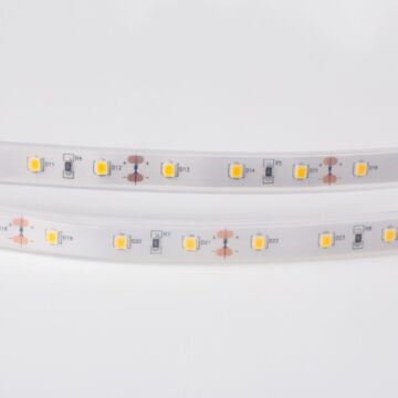 Taśma LED 300 wodoodporna 11W 3000K 300lm IP67 5m Eco Light EC79143