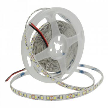 Taśma LED 600 9.6W 6500K 600lm 5m Eco Light EC79355