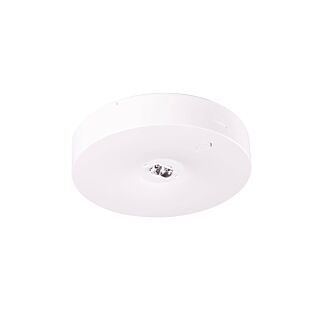 Oprawa awaryjna LED natynkowa STARLET EXTERNAL 1,5W 5000K 140lm 3h biała Intelight 91699